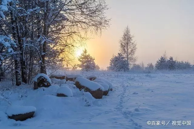 描写冬景唯美诗句  忽如一夜春风来，千树万树梨花开图片