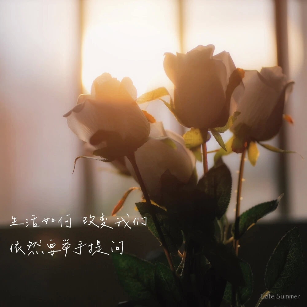 你的姿态你的青睐 我存在在你的存在图片