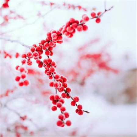 微信头像简约小清新干净图片