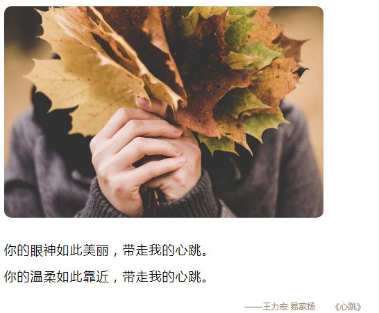 你的眼神如此美丽带走我的心跳图片