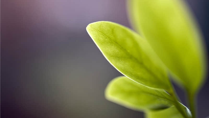 祝老师节日快乐的句子大全 英文