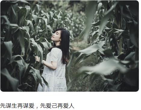 先谋生再谋爱，先爱己再爱人