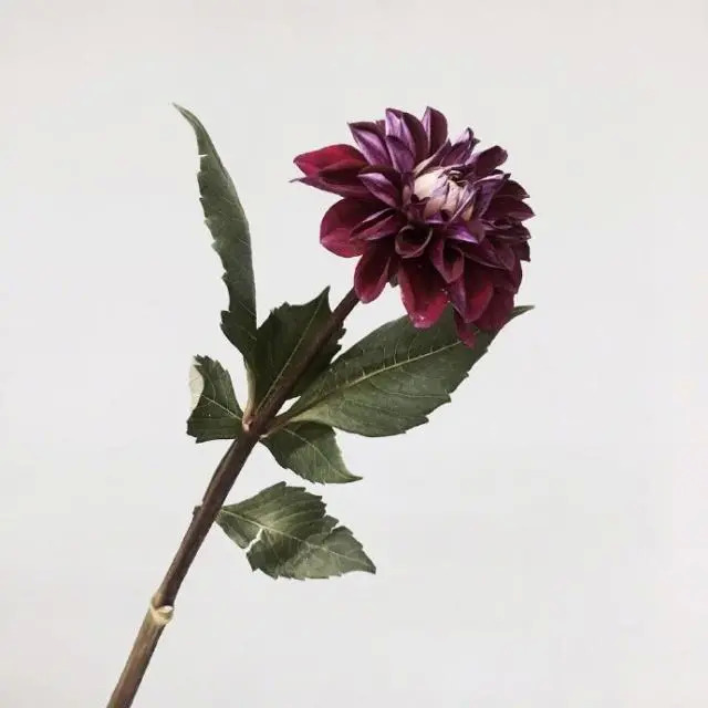 干净唯美的句子打动人心 	朋友圈简单干净的句子图片