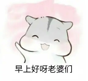 老婆早安表情包  老婆早上好问候图片图片