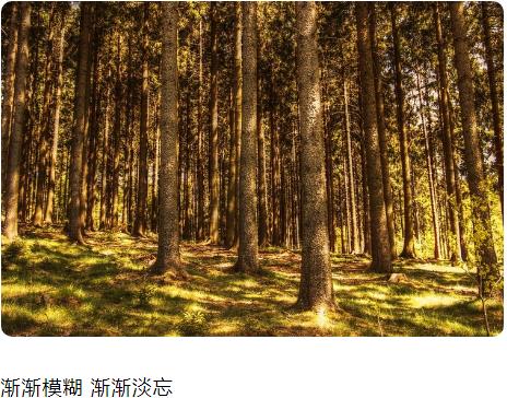 渐渐模糊 渐渐淡忘