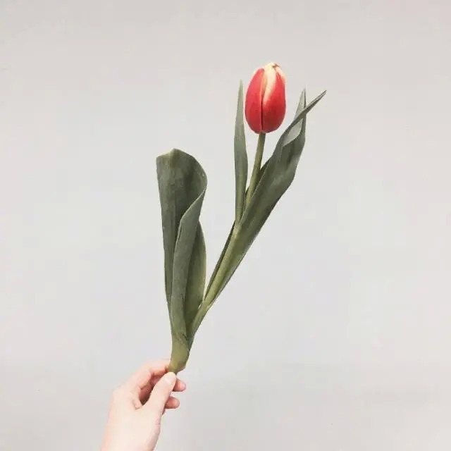 干净唯美的句子打动人心 	朋友圈简单干净的句子图片