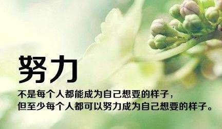 坚持与努力的名言警句
