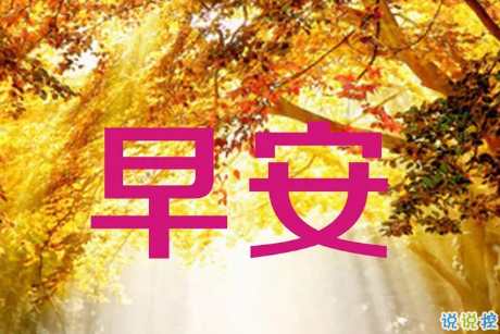 早上好的句子短语励志篇 早上好发朋友圈的经典句子最新版