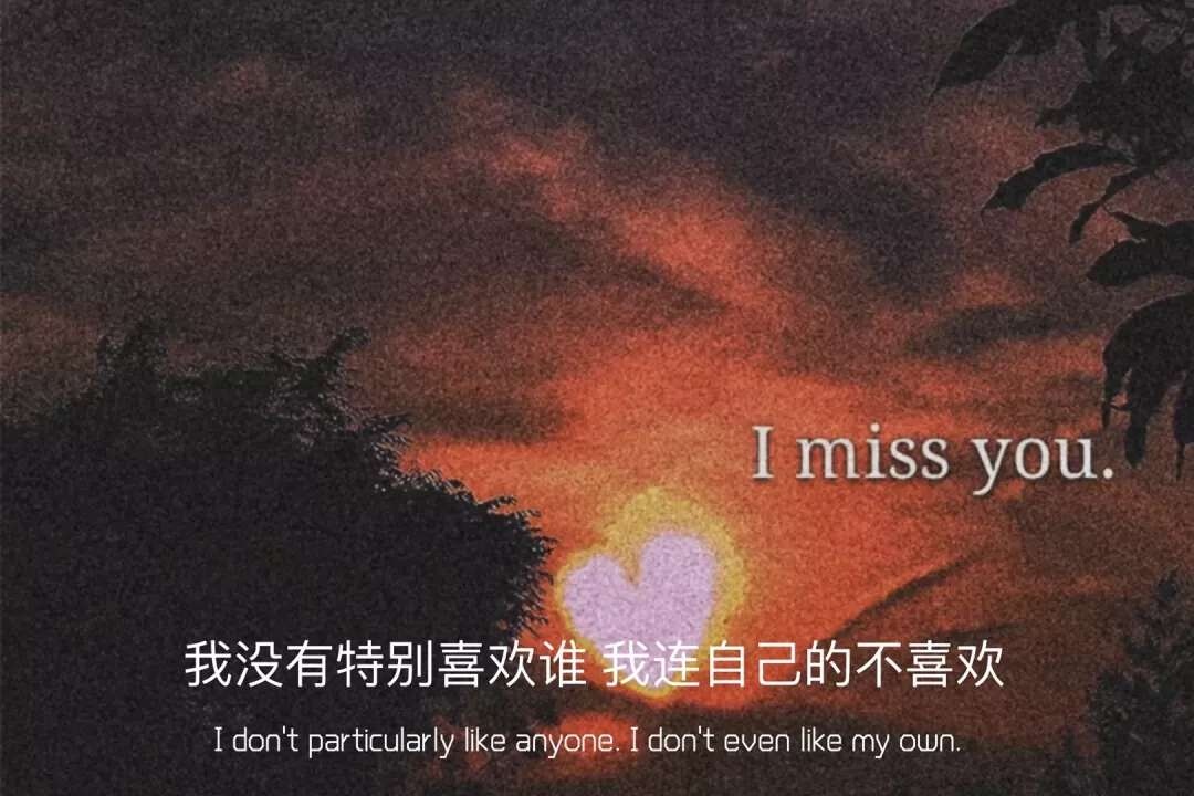 我没有特别喜欢谁,我连自己的不喜欢