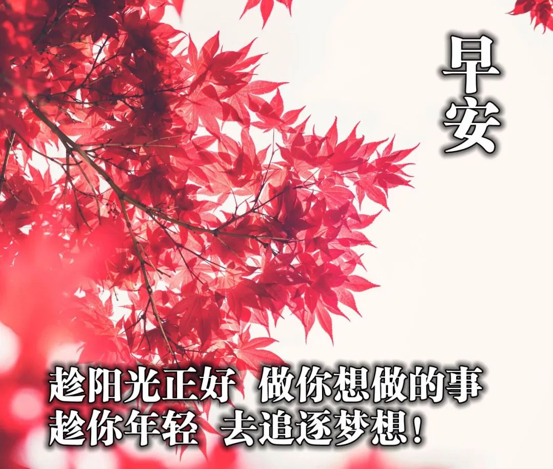 2020早安最火图片，早上好 简短图片