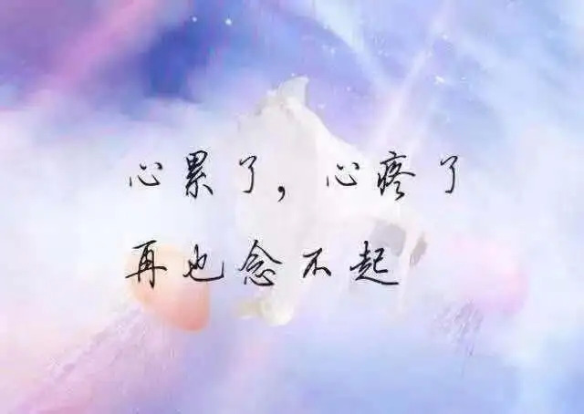 对某人失望心寒的图片（精选20张）图片