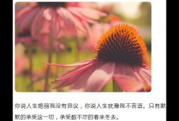 你说人生艳丽我没有异议 你说人生忧郁我不言语