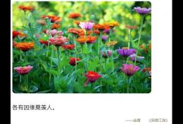 各有因缘莫羡人