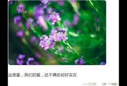 这是爱我们的爱还不确定却好实在
