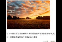 泡上一壶三山五岳那亘越万古的钟灵毓秀孕育造化的香茗