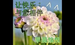 独特的早晨问候图片 最暖心的早安