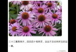 三十三重离恨天，四百四十相思苦，远远不及此刻所见的这一幕。