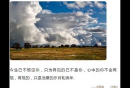 今生已不想见你,只为再见的己不是你