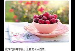 花落花开开不休 上善若水水自流