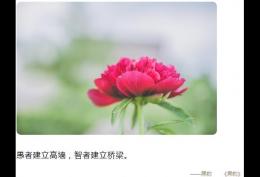 愚者建墙,智者建桥