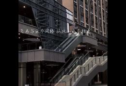 飞鸟与鱼不同路 从此山水不相逢