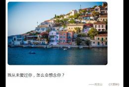 我从未爱过你 怎么会想念你