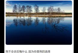因为你是我的选择