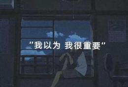 我以为 我很重要 始于心甘情愿 止于愿赌服输
