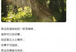 思念的滋味如同一杯苦咖啡 虽然可以加点糖