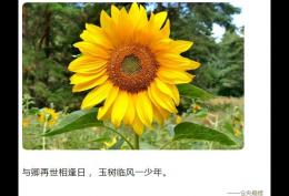 与卿再世相逢日,玉树临风一少年