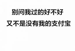 别问我过的好不好，又不是没有我的支付宝