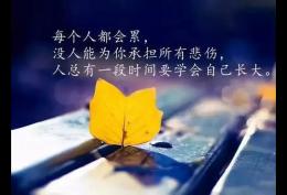 男儿有泪不轻弹,只是未到伤心时