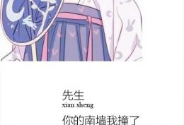 先生你的南墙我撞了，是小女子输了