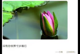 没有你世界寸步难行我困在原地