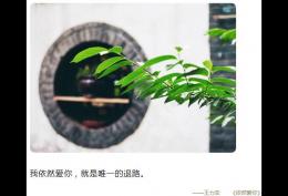 我依然爱你就是唯一的退路我依然珍惜