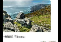 飞黄腾踏去,不能顾蟾蜍
