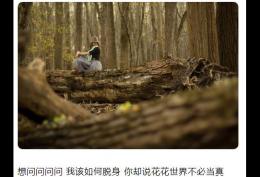 想问问问问 我该如何脱身 你却说花花世界不必当真