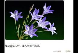 爱总是让人哭让人觉得不满足