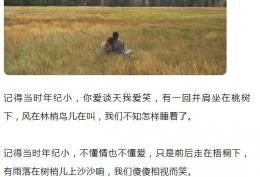 记得当时年纪小 你爱谈天我爱笑