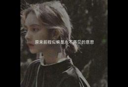 原来前程似锦是永不相见的意思