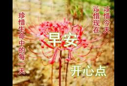 早上好2022 最新图片