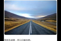我别无退路，所以只能向前