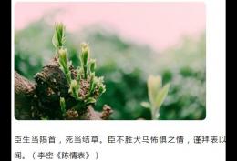 臣生当陨首死当结草臣不胜犬马怖惧之情谨拜表以闻