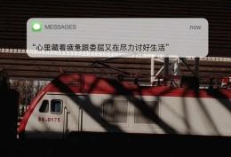 心里藏着疲惫跟委屈又在尽力讨好生活