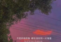 不是所有的鱼 都生活在同一片海里