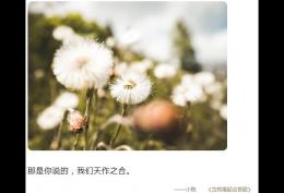那是你说的我们天作之合