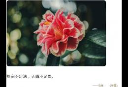 祖宗不足法，天道不足畏