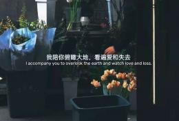 我陪你俯瞰大地看遍爱和失去