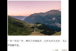 一片一片又一片，两片三片四五片，六片七片八九片，飞入芦花都不见