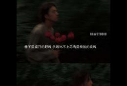 巷子里盛开的野瑰 永远比不上店里绽放的玫瑰